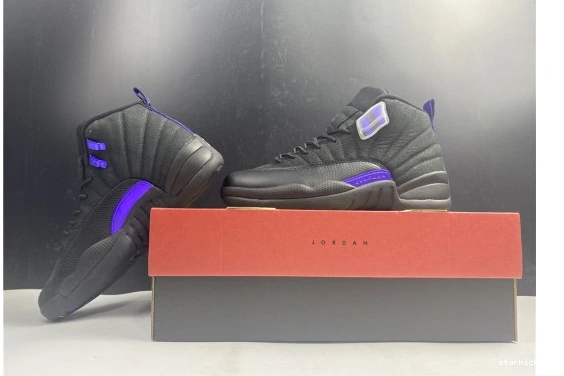 CT8013-005 12 Dark CT8013-005 Concord Air Black Jordan Retro 1031